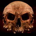 Avatar de akhkham