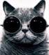 Avatar de dsmeuropa77