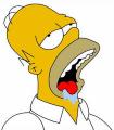 Avatar de HomerSimpsons