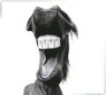 Avatar de rahigmart