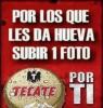 Avatar de Tko
