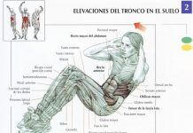 Desequilibrio funcional de los músculos de la cadera