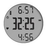 Garmin Forerunner 110