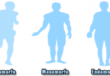 Biotipos y psicotipos: ectomorfo, mesomorfo y endomorfo
