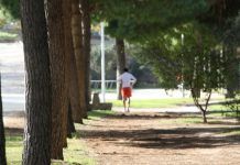 Paleo Fitness para perder peso