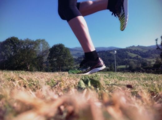 17 principios de entrenamiento