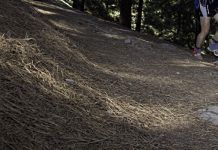 De runner a trail runner: plan de entrenamiento (VI)