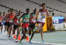 La gran cosecha de Barcelona 2012