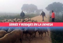 Series, rodaje y ovejas el 28 de Diciembre (no es una inocentada) #objetivomaratón