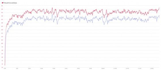 mio link comparativa 1 2