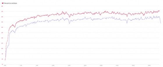 mio link comparativa 2 2