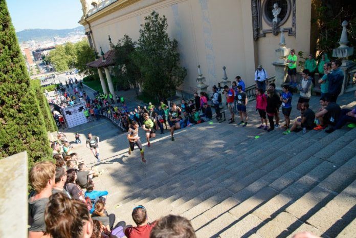 Salomon Run Vertical