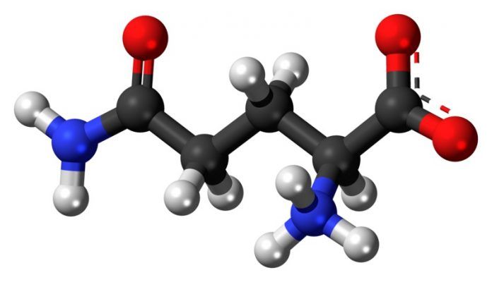 L Glutamina Estructura Molecular