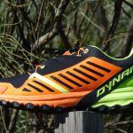 Dynafit Alpine Pro