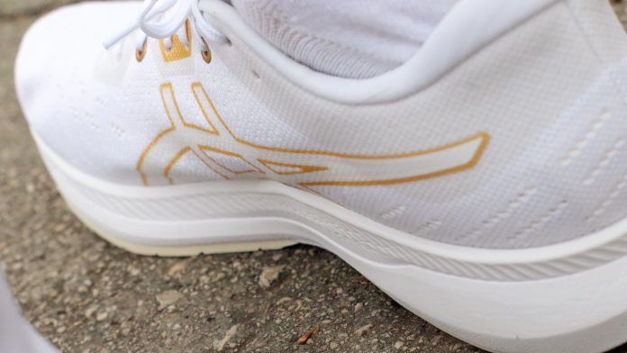 ASICS Evoride