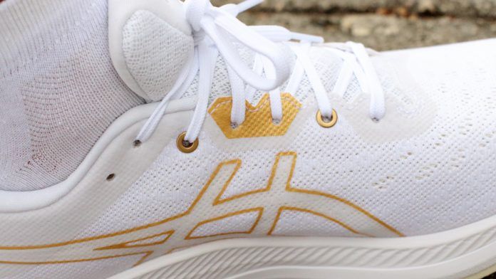 ASICS Evoride