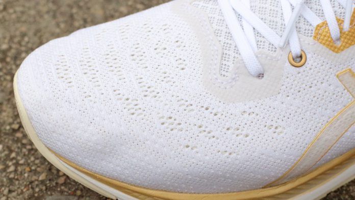ASICS Evoride