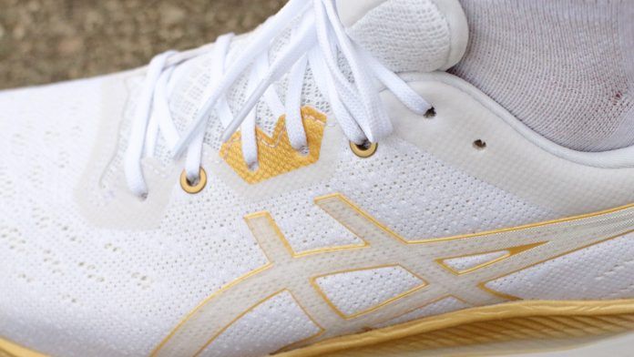 ASICS Evoride