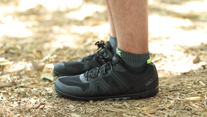 Xero Mesa Trail 2