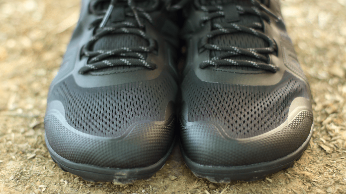 Xero Mesa Trail 2