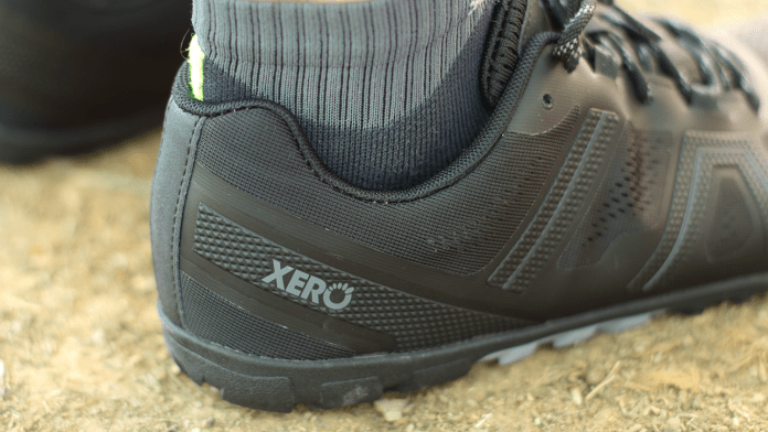 Xero Mesa Trail 2