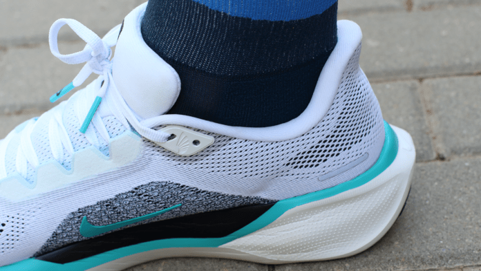 Nike Pegasus 41