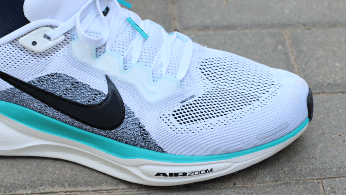 Nike Pegasus 41