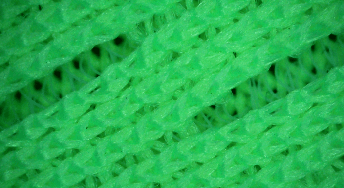 capa externa