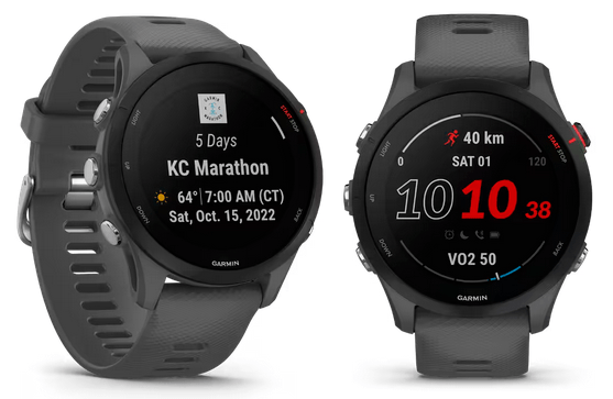 Garmin Forerunner 255