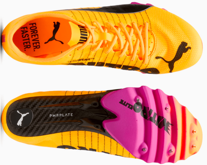 Puma Berseker
