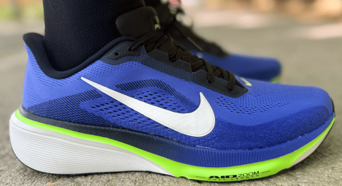 Nike Pegasus 42