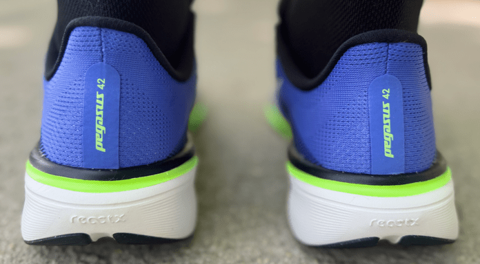 Nike Pegasus 42